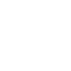 San-Fit Icons