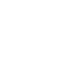 San-Fit Icons