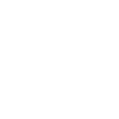 San-Fit Icons