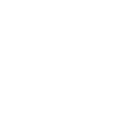 San-Fit Icons